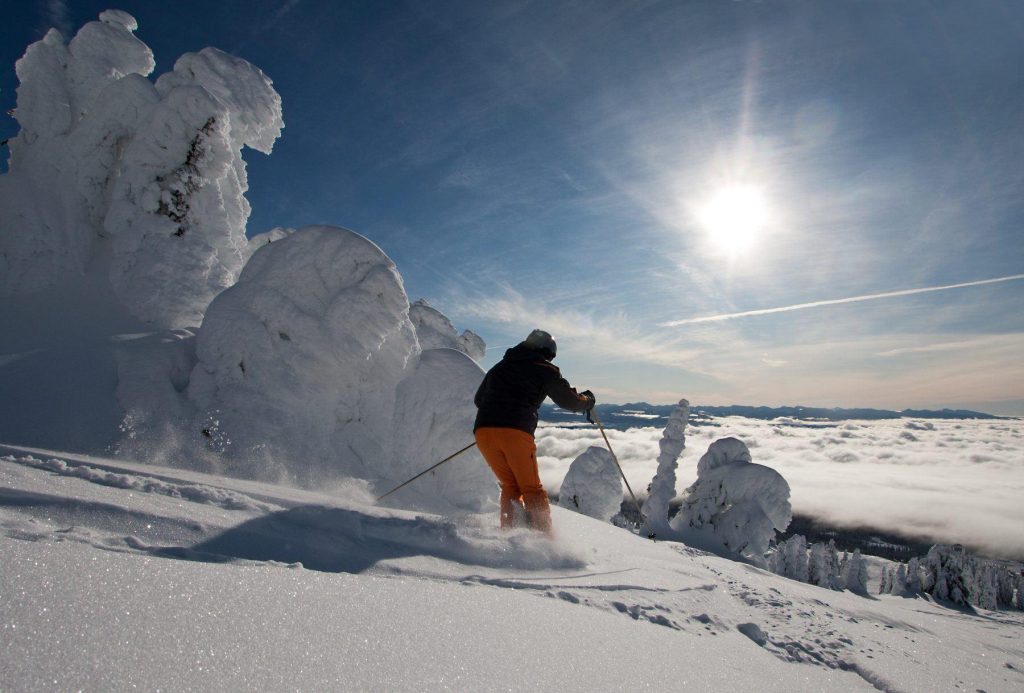 Powder-White_North-America