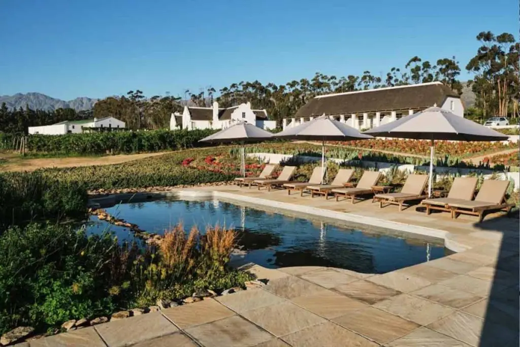 Rijks Wine & Hotel Skiing in South Africa