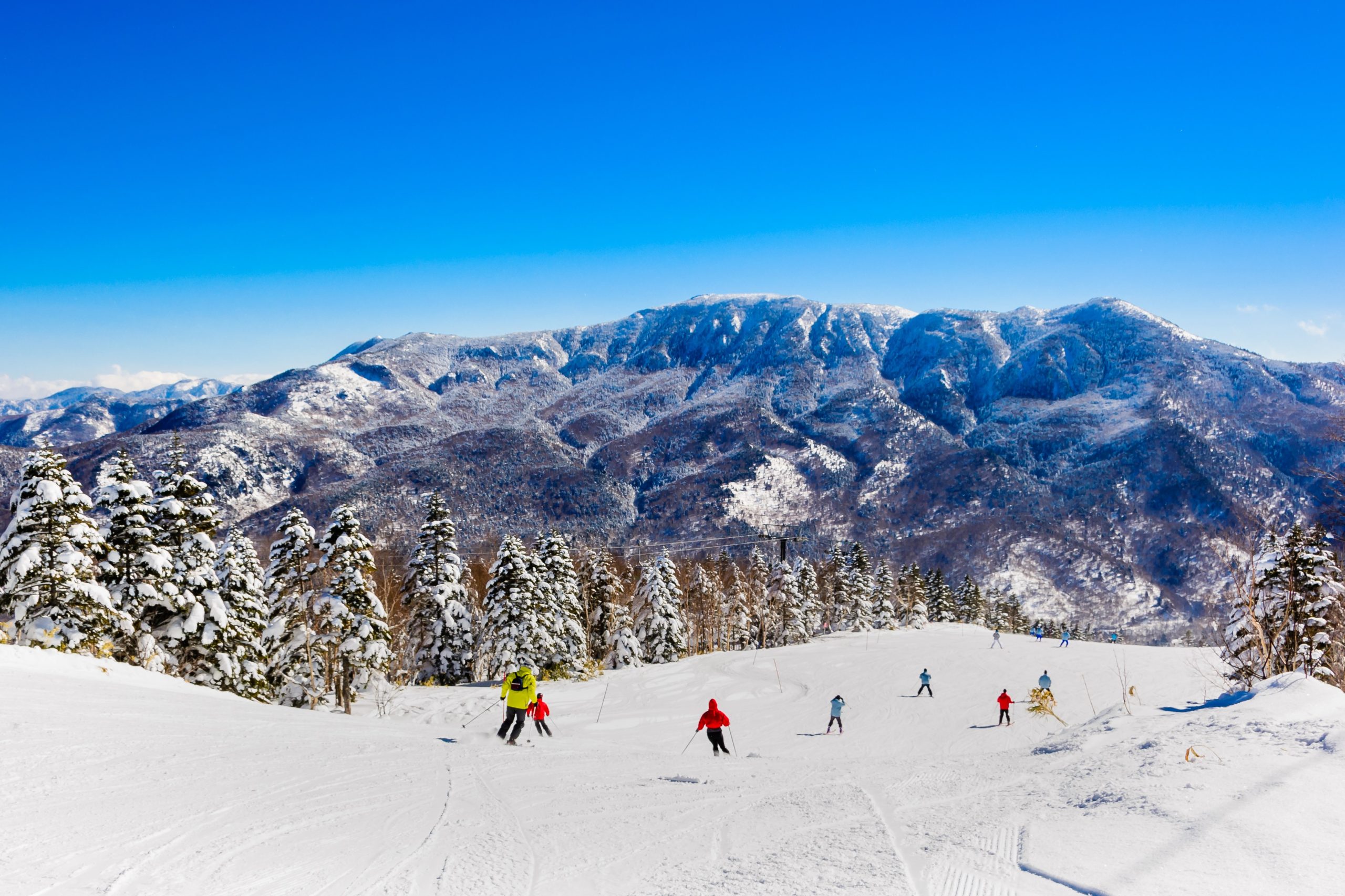 Skiing in Shia Kogen Ski resort. Photo from Shutterstuck.