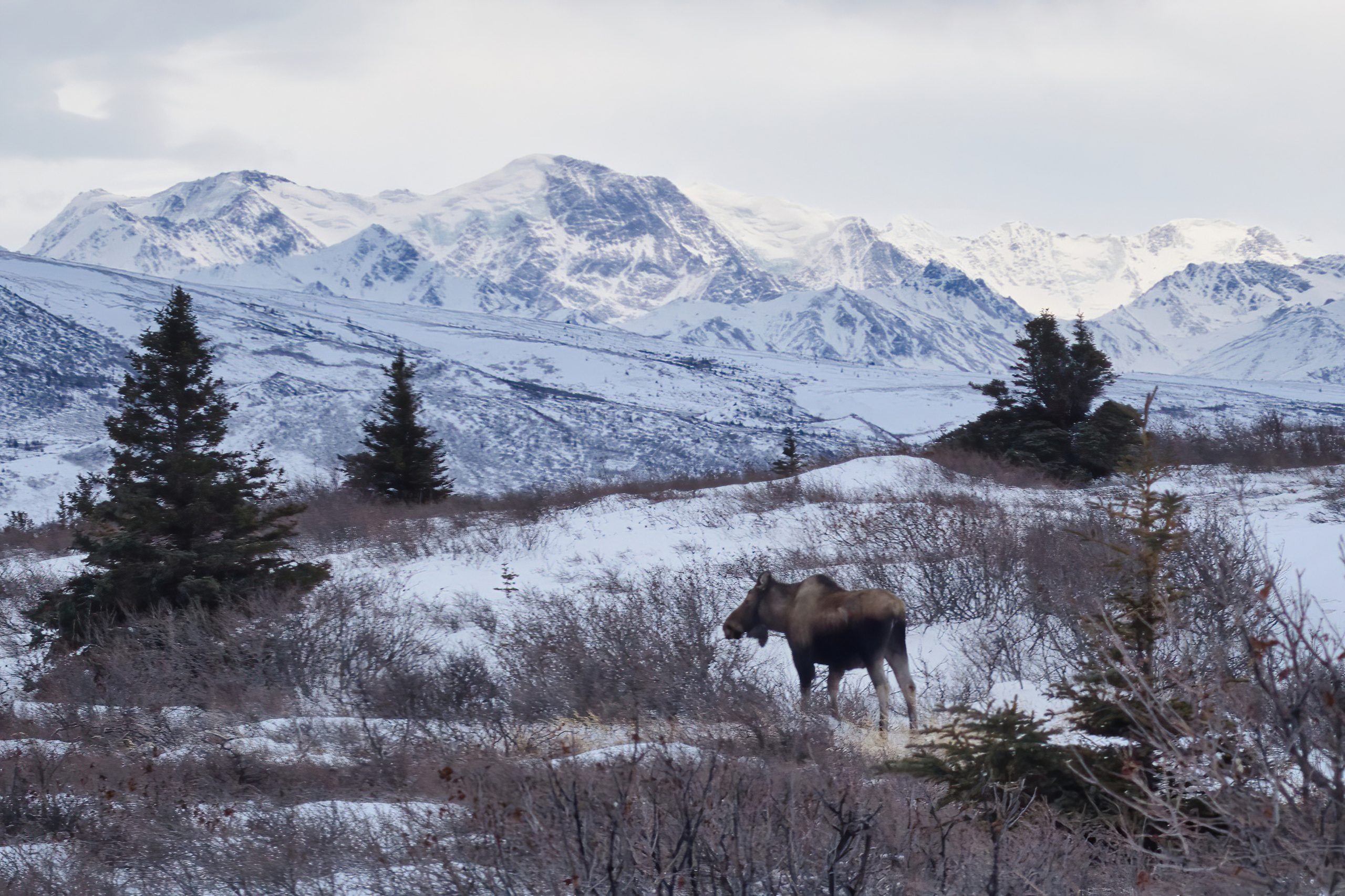 Moose Mountain. © Kari Ahlers | Dreamstime.com