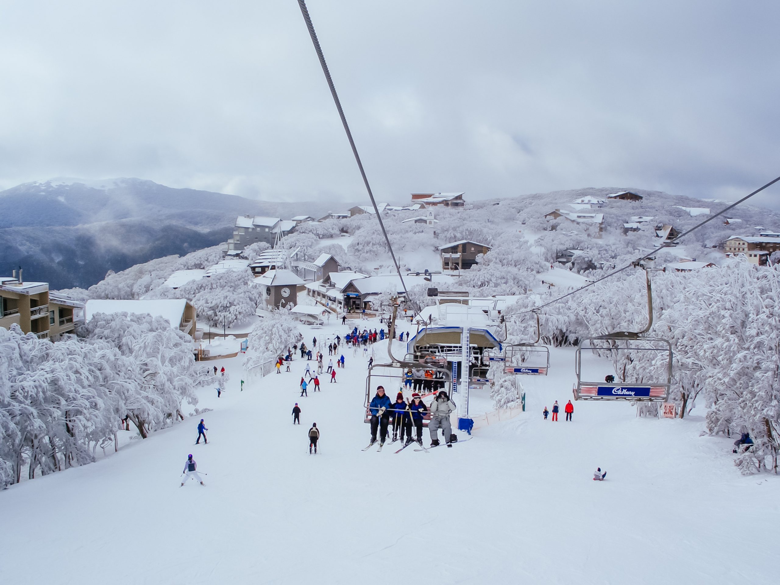 mtbuller